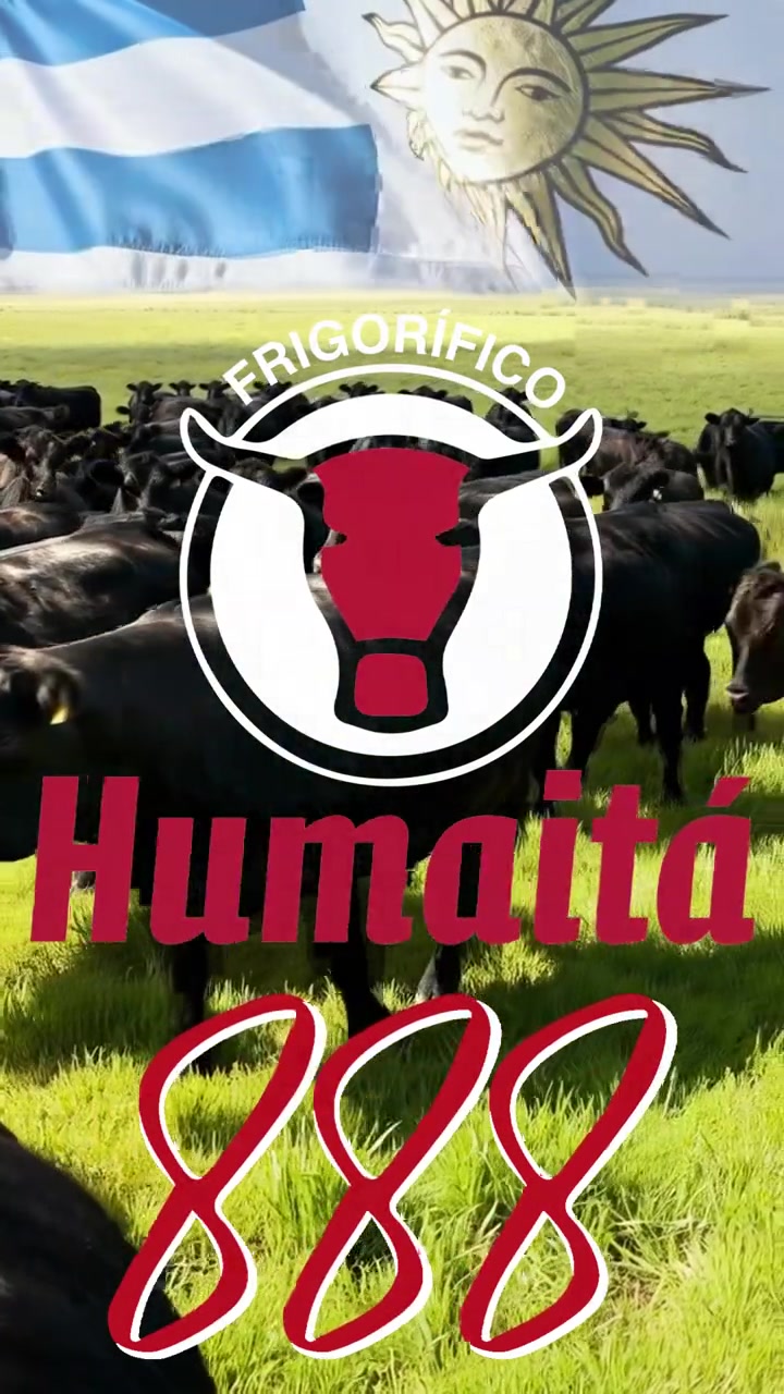 Frigorífico Humaitá — video still